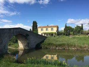 eating out in languedoc - le chat qui peche