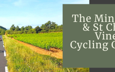 Minervois and St Chinian Vineyards Cycling Circuit