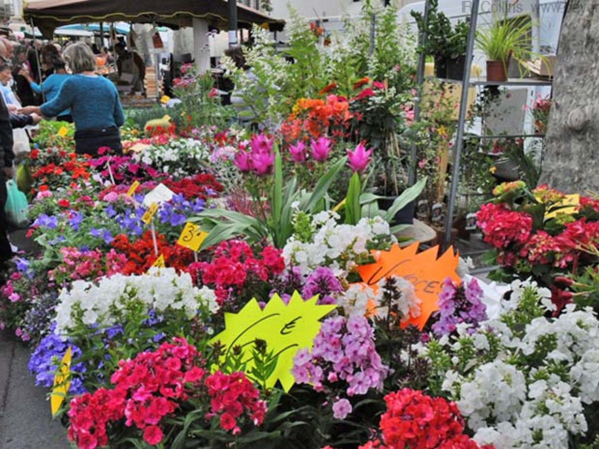 Best markets in Languedoc