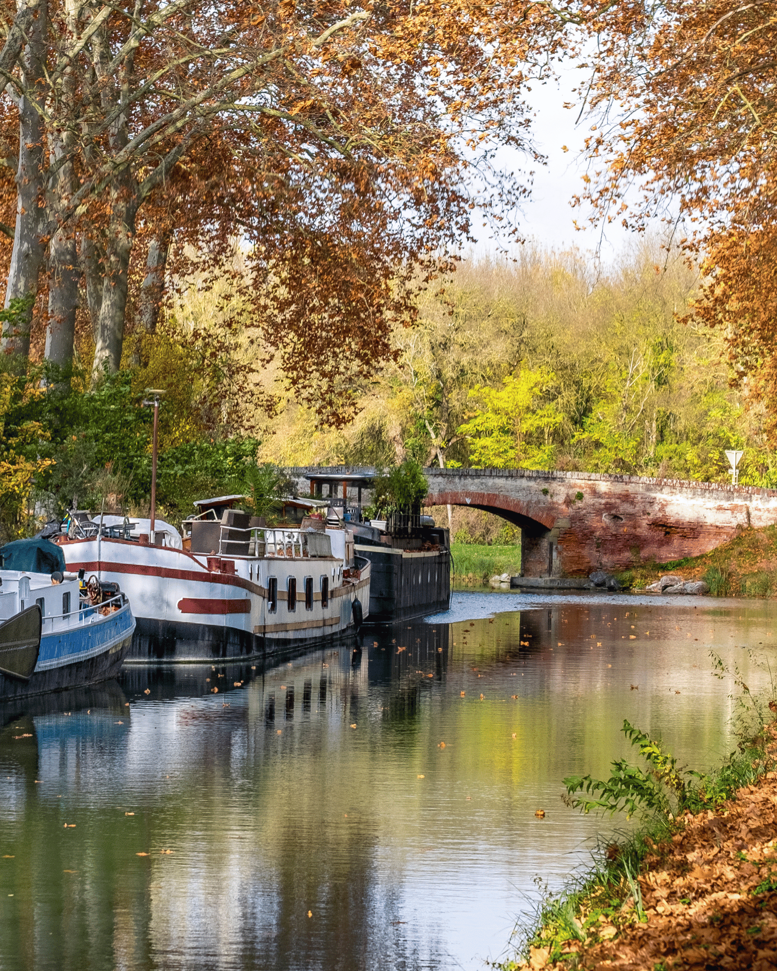 10 sites in Languedoc